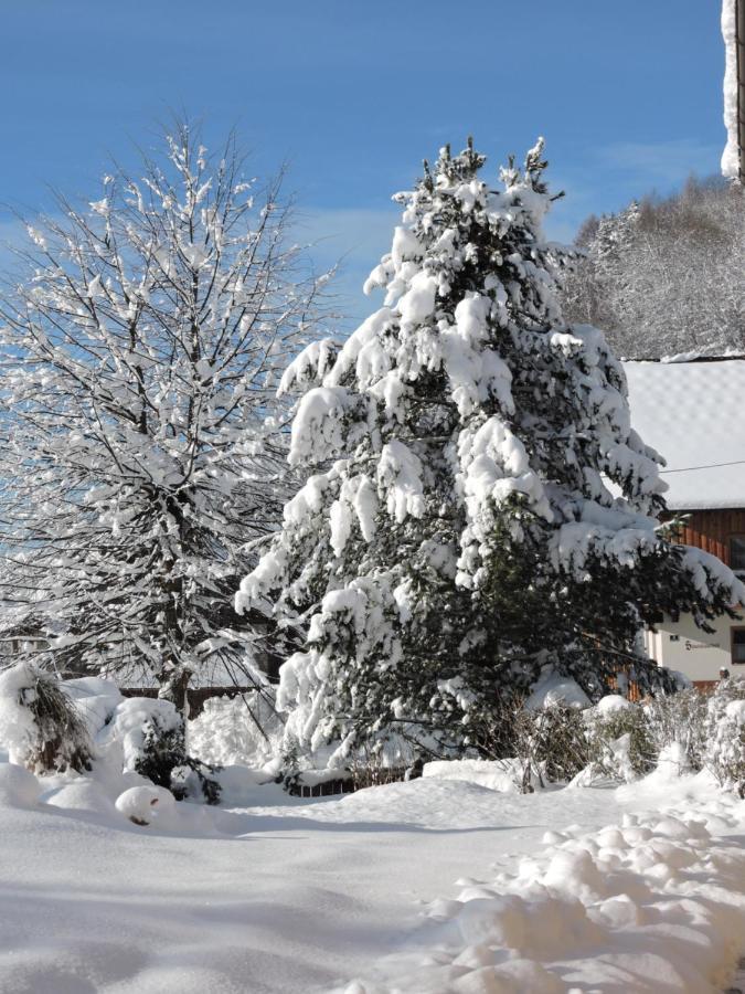 Haus Kremser Bad Kleinkirchheim Eksteriør bilde